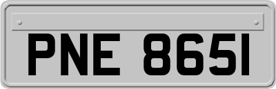 PNE8651