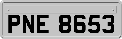 PNE8653