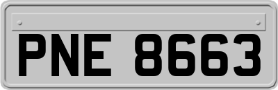 PNE8663