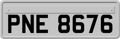PNE8676