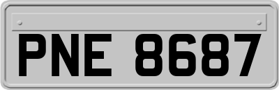 PNE8687