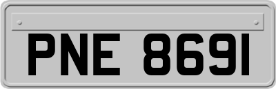 PNE8691