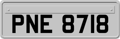 PNE8718