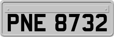 PNE8732
