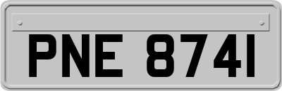 PNE8741