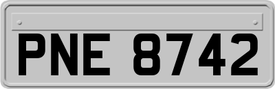 PNE8742