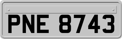 PNE8743