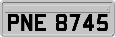 PNE8745