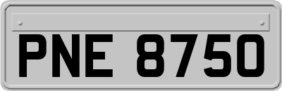 PNE8750