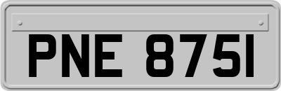 PNE8751