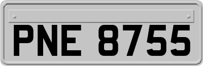 PNE8755