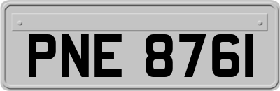 PNE8761