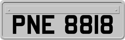 PNE8818
