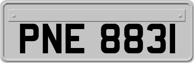 PNE8831