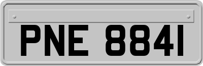 PNE8841