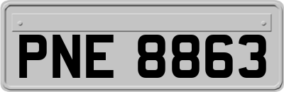 PNE8863