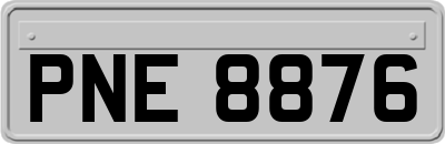 PNE8876