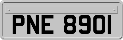 PNE8901
