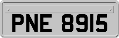 PNE8915