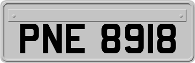 PNE8918