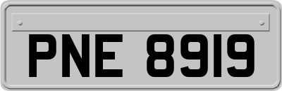 PNE8919