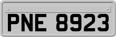 PNE8923