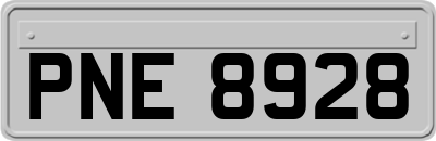 PNE8928