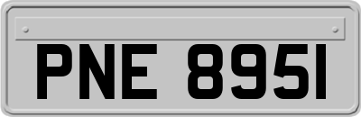 PNE8951
