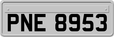 PNE8953