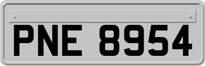 PNE8954