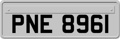 PNE8961