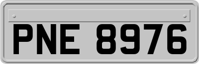 PNE8976
