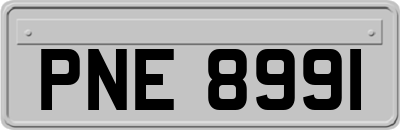 PNE8991