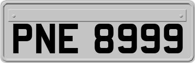 PNE8999