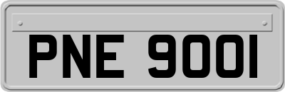 PNE9001