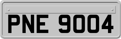 PNE9004