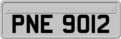 PNE9012