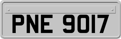 PNE9017