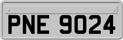 PNE9024