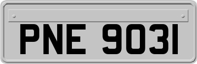 PNE9031