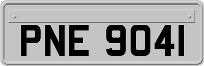 PNE9041