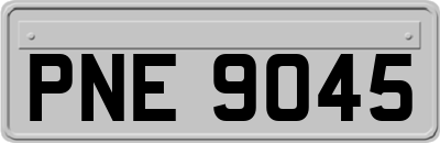 PNE9045