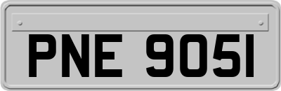 PNE9051