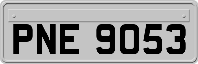 PNE9053
