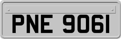 PNE9061