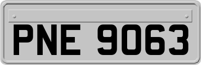 PNE9063