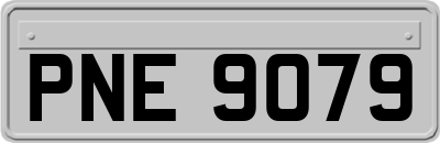 PNE9079