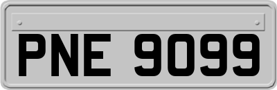 PNE9099