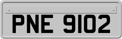 PNE9102