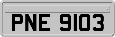 PNE9103